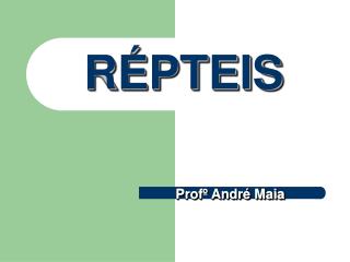 RÉPTEIS