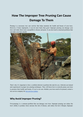 How The Improper Tree Pruning Can Cause Damage To Them.docx