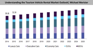 Understanding the Tourism Vehicle Rental Market Outlook|Michael Merisier
