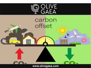 Carbon Neutrality