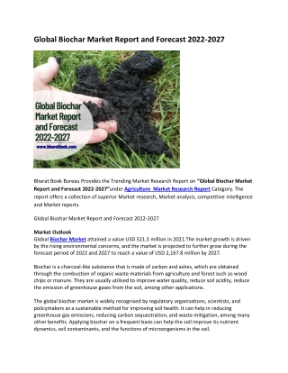 Global Biochar Market Report and Forecast 2022-2027