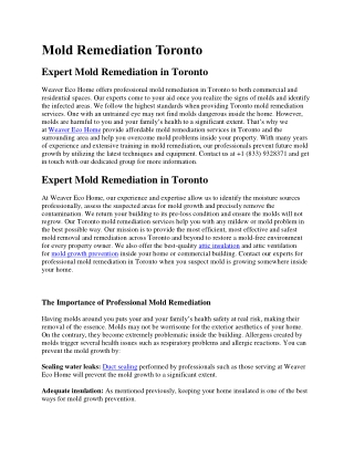 Mold Remediation Toronto