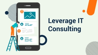 It consulting company reno - Leverage IT Consulting