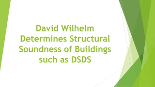 David Wilhelm Determines Structural Soundness of Buildings such as DSDS