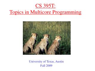 CS 395T: Topics in Multicore Programming
