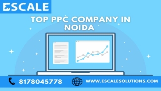 ppc company in noida - Escale Solutions