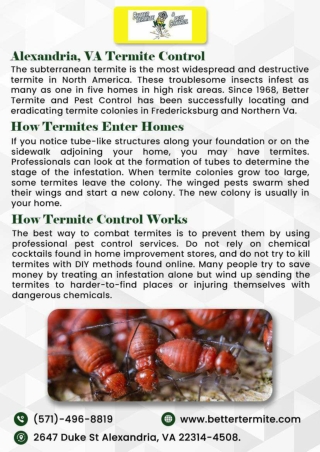 Alexandria Termite treatment