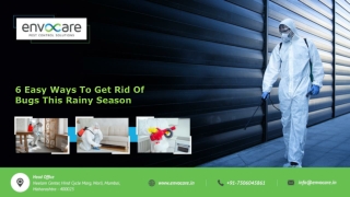 6 Easy Ways To Get Rid Of Bugs This Rainy Season