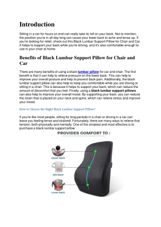 Buy Black Lumbar Support Pillow for Chair and Car