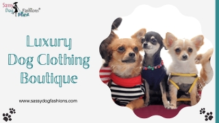 Luxury Dog Clothing Boutique