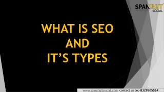 TYPES OF SEO (12)