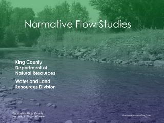 Normative Flow Studies