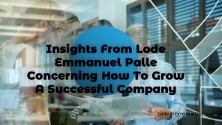 Insights From Lode Palle Concerning How To Grow A Successful Company