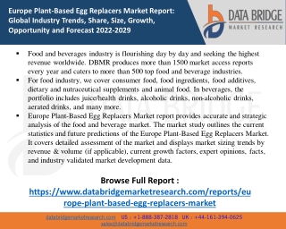 Europe Plant-Based Egg Replacers Market Analysis by Industry Perspective