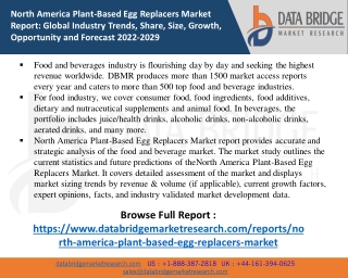 North America Plant-Based Egg Replacers Market