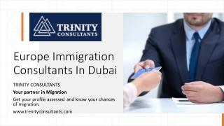 Europe Immigration Consultants In Dubai _
