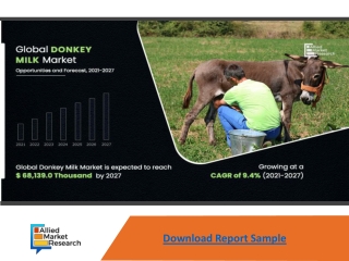 Donkey Milk Market