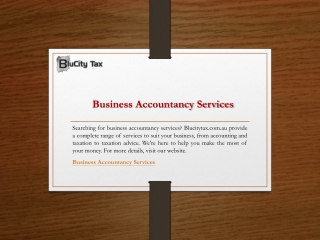 Business Accountancy Services  Blucitytax.com.au