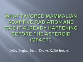 What favored mammalian adaptive radiation and was it already happening before the asteroid impact?