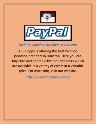 BichPoo Poochon breeders in Houston