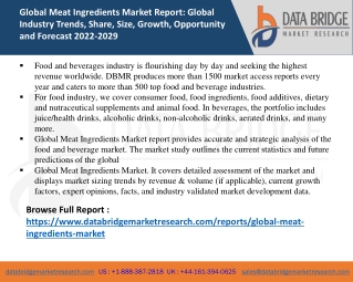 Global Meat Ingredients Market Size, Scope, Insight, Demand, & Global Industry a