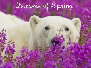 Dreams of Spring (6)