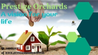 Prestige Orchards-A vision for your life