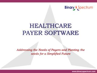 Healthcare Payer Software Solutions