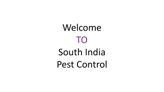 Termite Control Bangalore