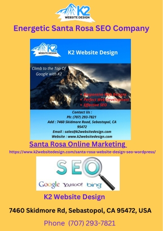 Energetic Santa Rosa SEO Company