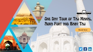 One Day Tour of Taj Mahal, Agra Fort and Baby Taj