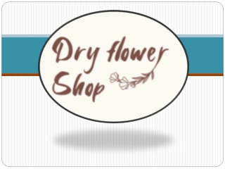 Buy Dried Flowers Online Australia | Dried Flowers For Sale