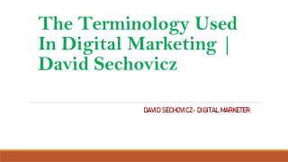 The Terminology Used In Digital Marketing | David Sechovicz