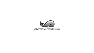Whale watching in Baja