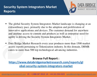 Security System Integrators Market