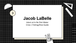 Jacob LaBelle - Self-motivated Problem Solver - Ann Arbor, MI