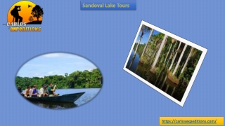 Sandoval Lake Tours