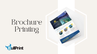 Affordable Premium Quality Brochure Printing Services
