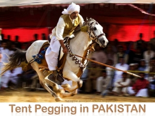 Tent Pegging in PAKISTAN