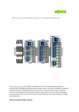 Electronic Circuit Breaker Unit | ECBs | WAGO India