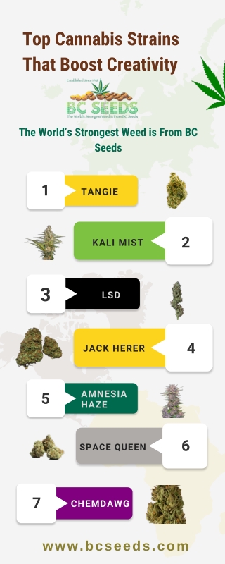 Top Cannabis Strains That Boost Creativity