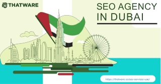 Get the Top SEO Services in Dubai - Thatware