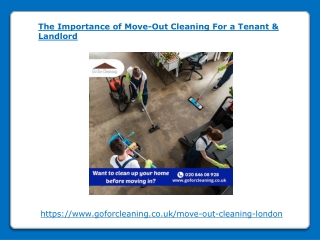 The Importance of Move-Out Cleaning For a Tenant and Landlord