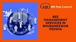 Bee management services in Bhubaneswar Odisha