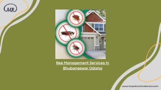 Bee Management Services In Bhubaneswar Odisha