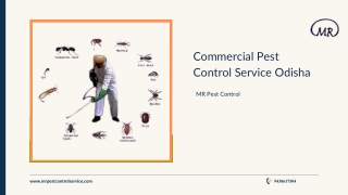 Commercial Pest Control Service Odisha