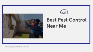 Best Pest Control Near Me