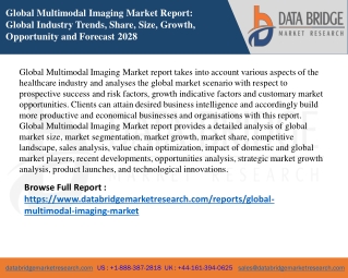 Global Multimodal Imaging Market Insight Business Opportunities, Revenue, Gross