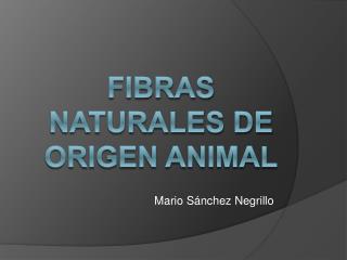 FIBRAS NATURALES DE ORIGEN ANIMAL