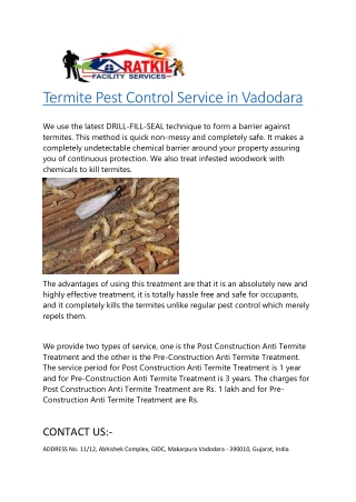Termite Pest Control Service in Vadodara